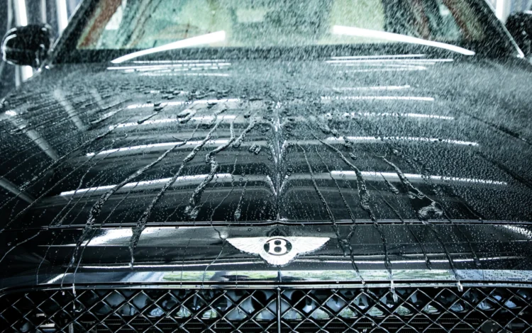 ドイツ車オーナーを悩ませる「雨染み」と「黄ばみ」対策
