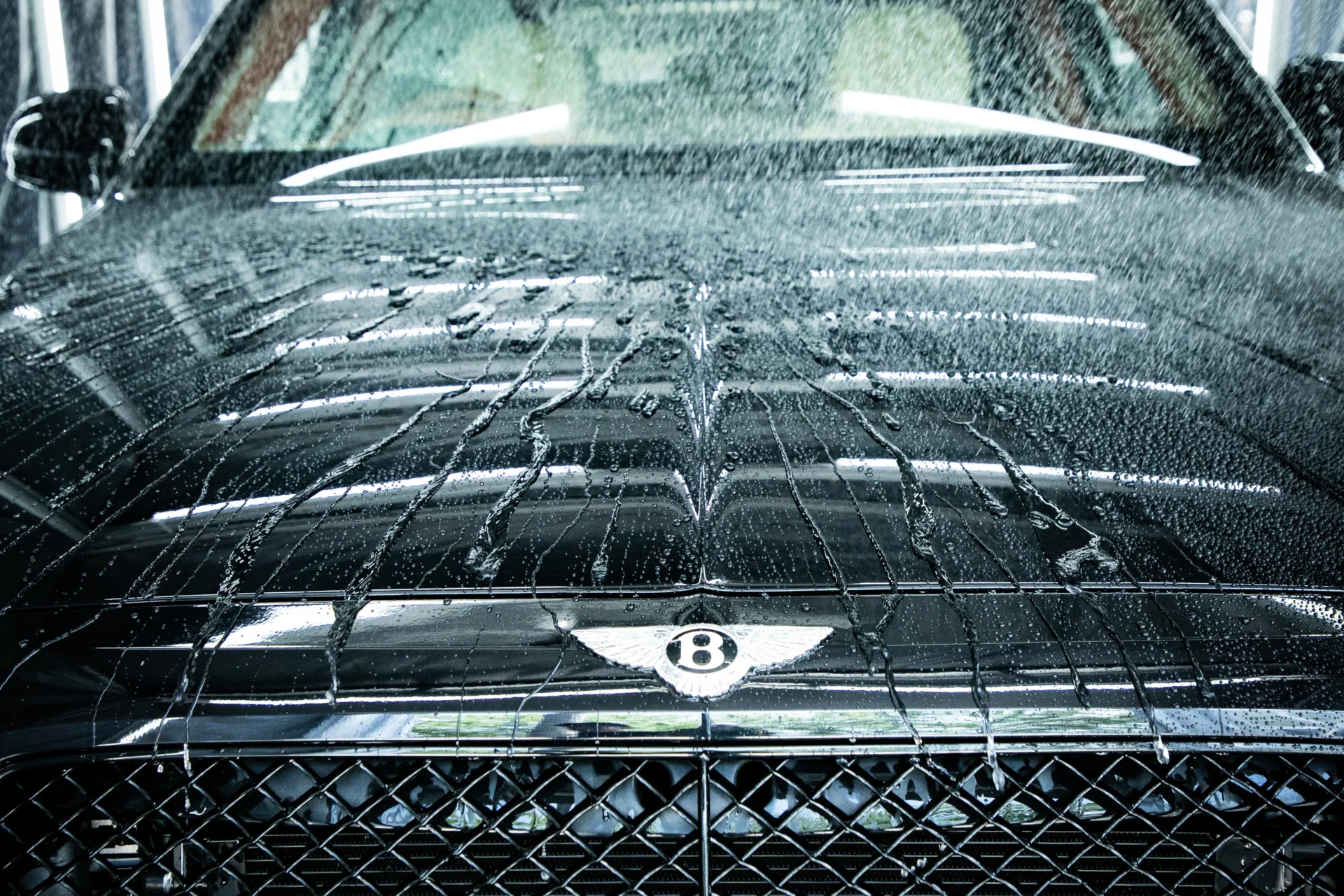 ドイツ車オーナーを悩ませる「雨染み」と「黄ばみ」対策｜京都